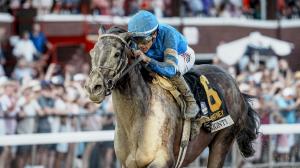 2026 Breeders Cup Classic, Americas Best Racing Power Rankings, Sovereignty, Forever Young, Nitrogen